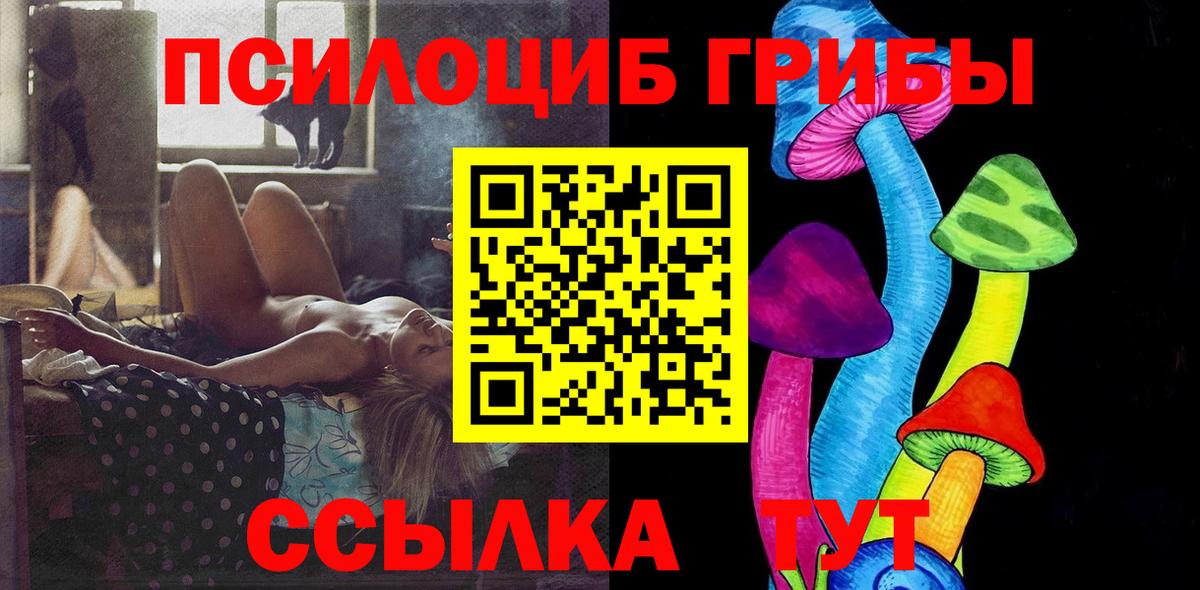 Псилоцибиновые грибы Psilocybine cubensis Муром